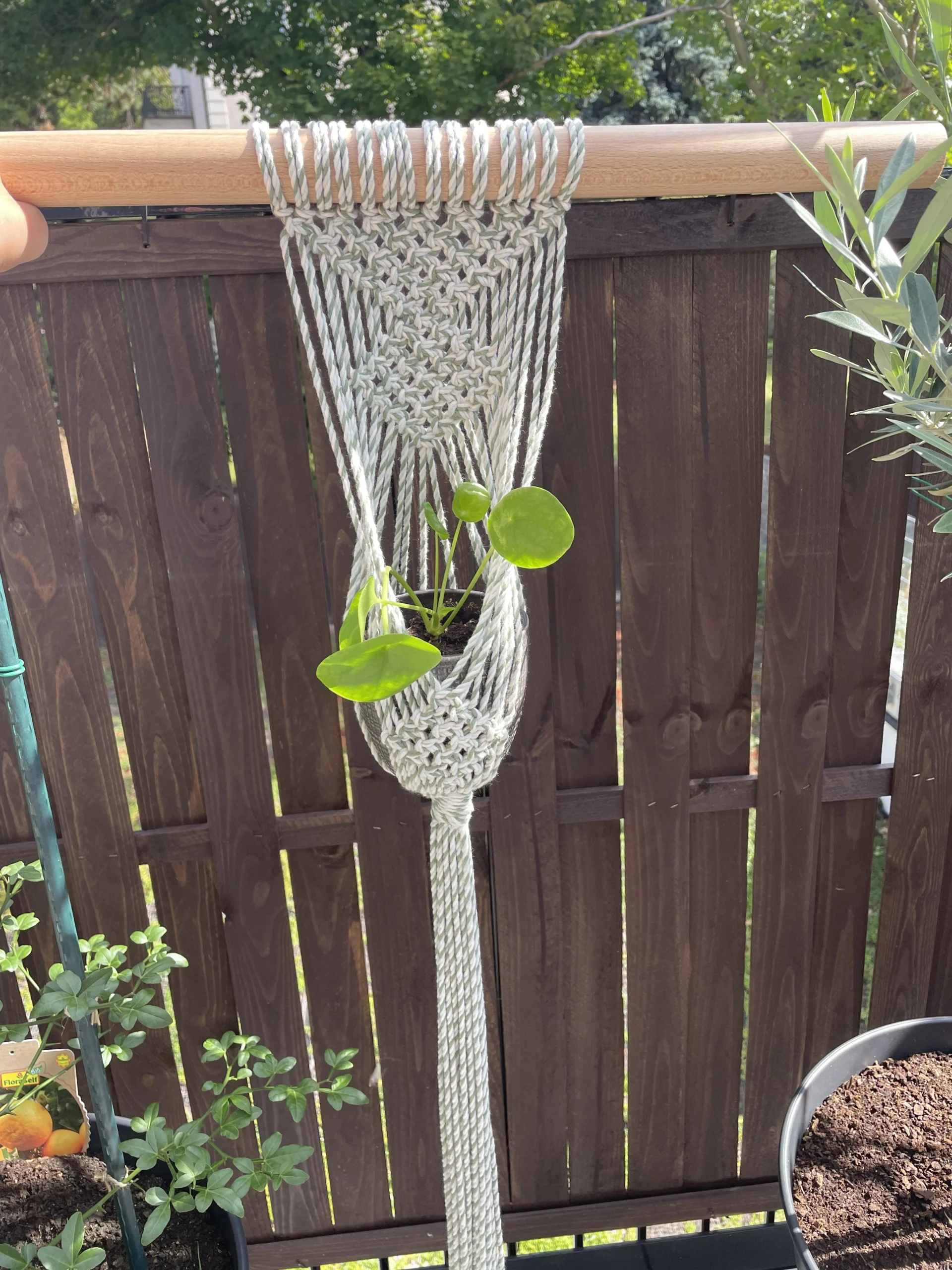 Beautiful Macrame Plant Hanger