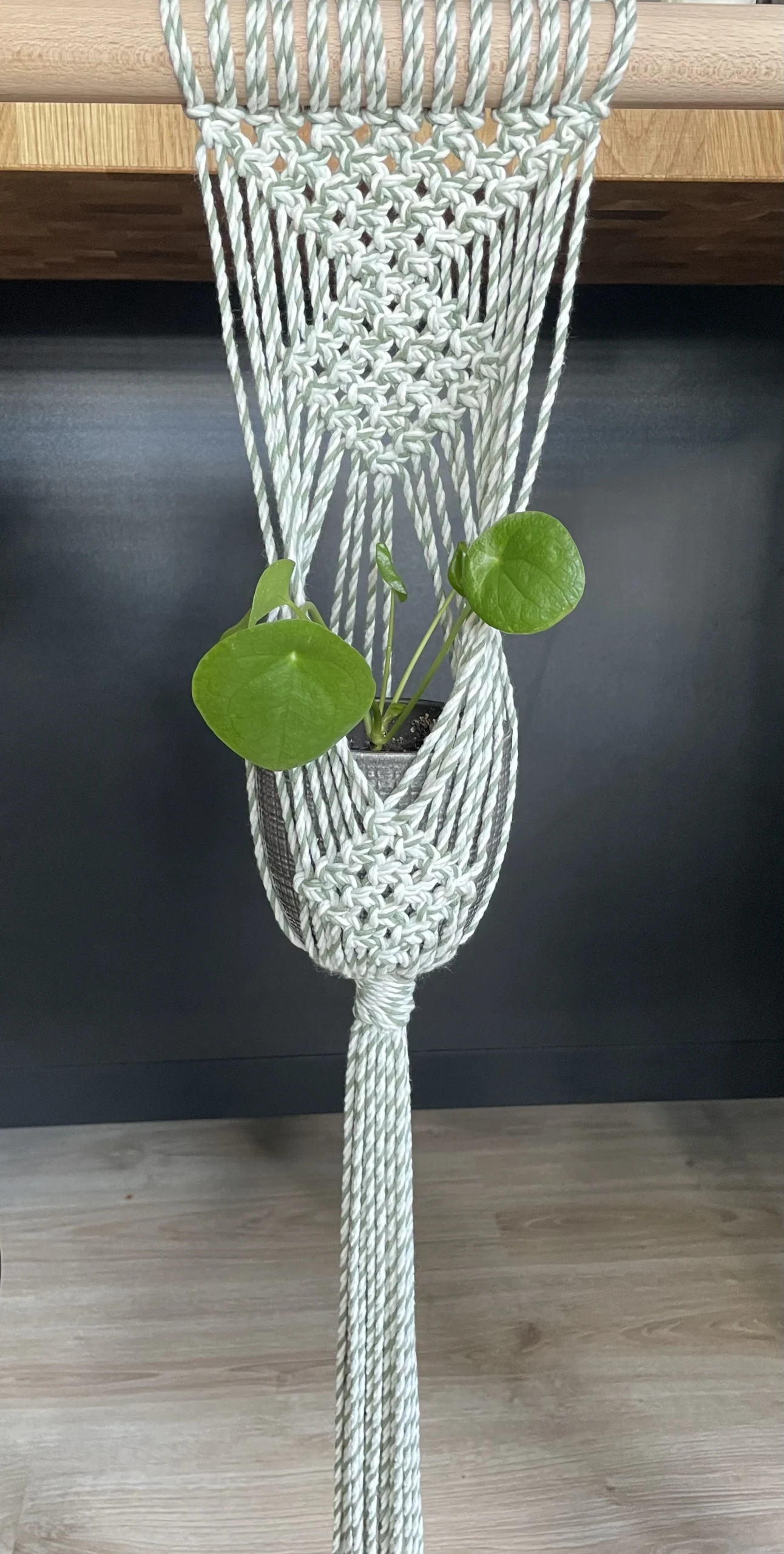 Beautiful Macrame Plant Hanger