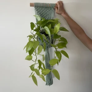 Beautiful Macrame Plant Hanger