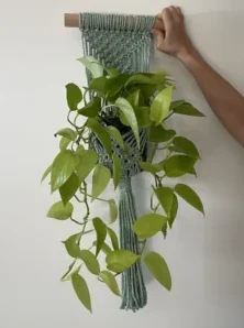 Beautiful Macrame Plant Hanger
