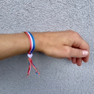 French Flag