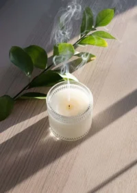 Soy Candle